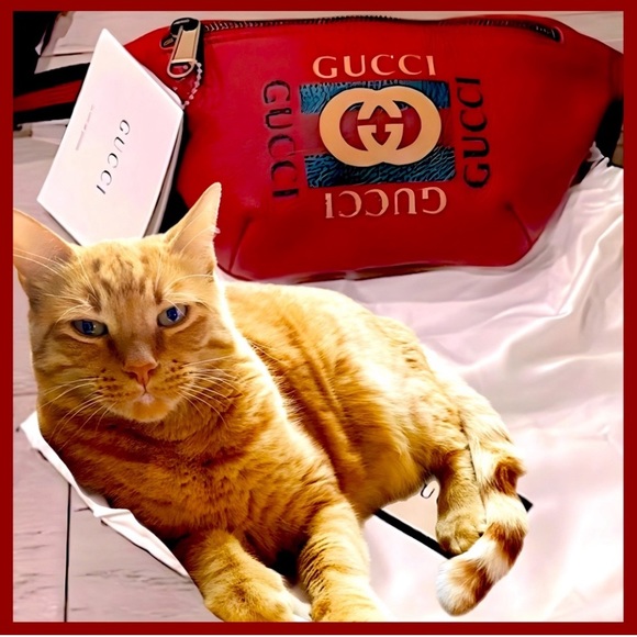 Meet your Posher, Posh Cheeky - Picture 1 of 7